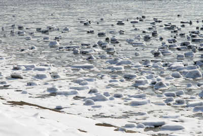 Aerial view of frozen beach