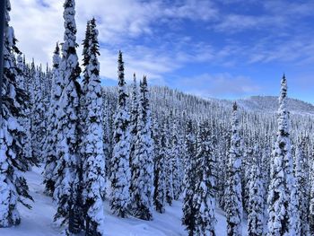 Panoramic view of snow covered mountain against sky