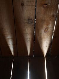 Close-up of human eye