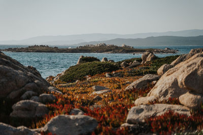 Scenic view of sea against clear sky