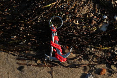 High angle view of toy on field in forest