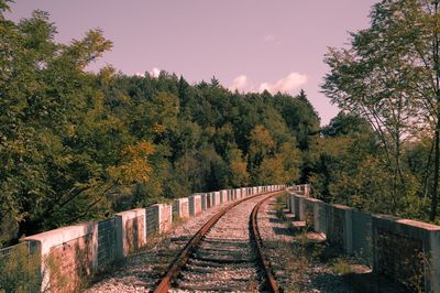 Railroad tracks amidst trees against sky