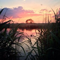 Scenic view of sunset over lake