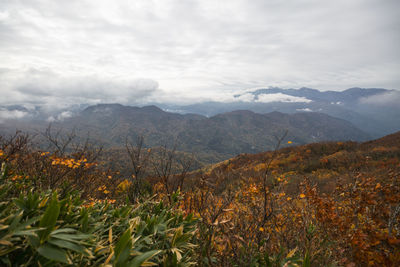 Scenic view of landscape against sky during autumn