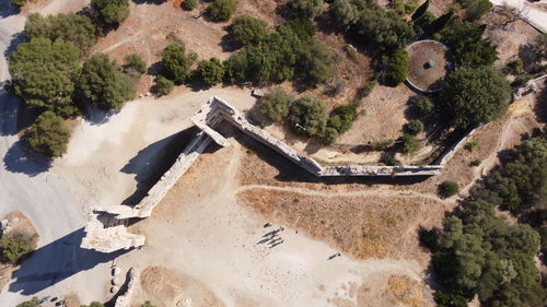 High angle view of trees amidst plants