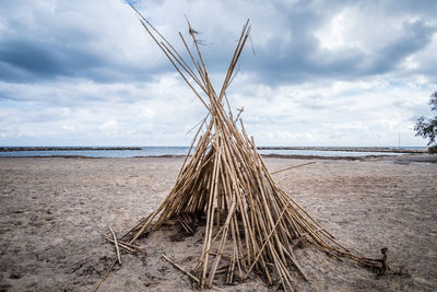 Driftwood on beach against sky