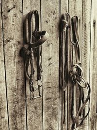 Close-up of wooden door