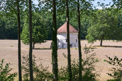 View of trees in front of building