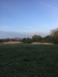 Scenic view of field against sky