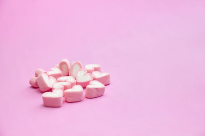 Close-up of pink flowers against colored background