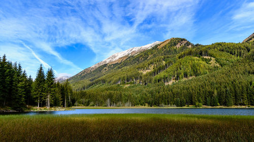 Scenic view of pine trees by lake against sky