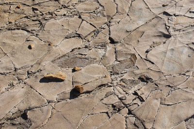 Full frame shot of cracked land