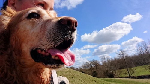 Low angle view of woman with golden retriever against cloudy sky during sunny day