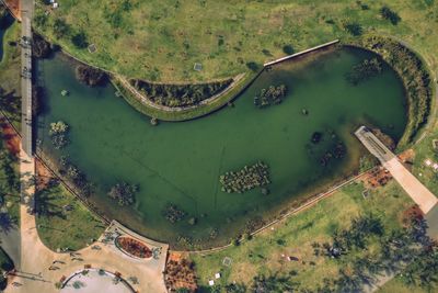 High angle view of boats in water