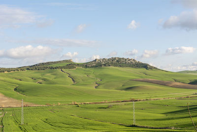landscape