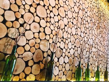 Bottles by logs