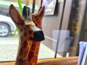 Close-up of deer on table