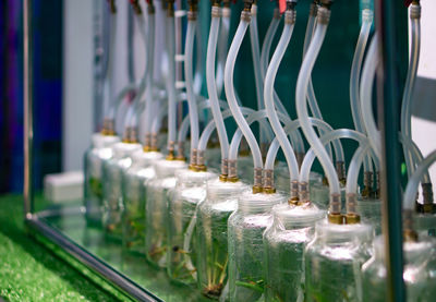 Close-up of glass bottles in row