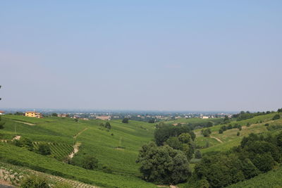 Scenic view of rural landscape