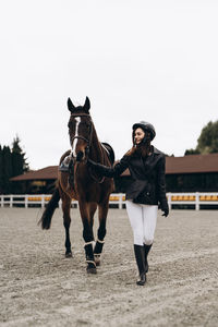 Horses on field