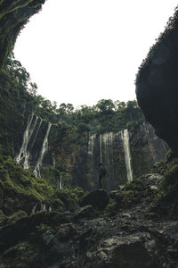 Low angle view of rock formation amidst trees against sky