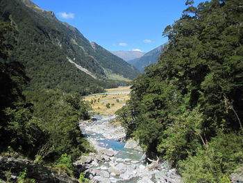 Scenic view of river amidst trees against sky