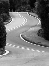 High angle view of empty road along trees