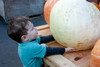 Cute boy holding pumpkin on wood