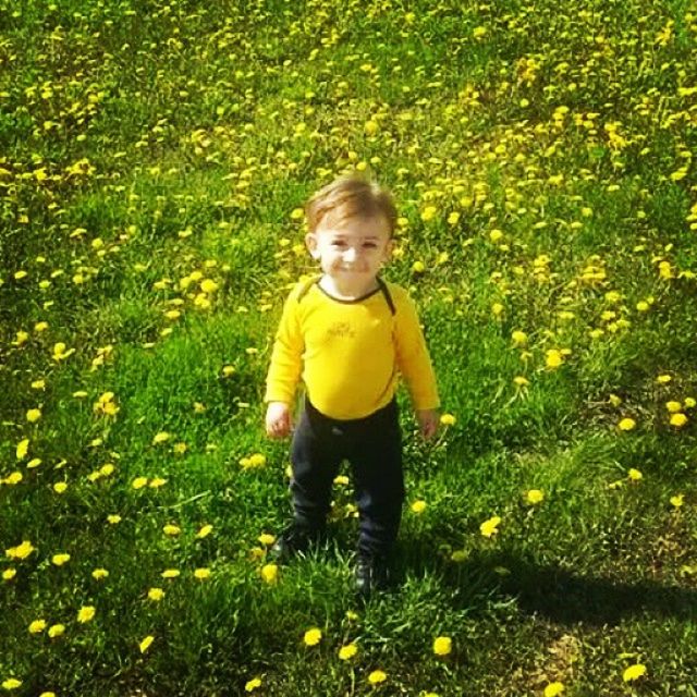 person, grass, lifestyles, casual clothing, flower, field, leisure activity, looking at camera, standing, portrait, yellow, growth, smiling, grassy, young adult, green color, elementary age, plant