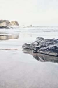 View of sea in the beach