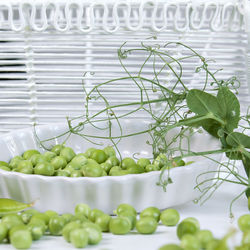 Close-up of green peas on table