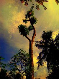 Low angle view of silhouette tree against sky during sunset