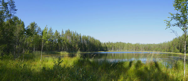 Scenic view of lake against clear sky