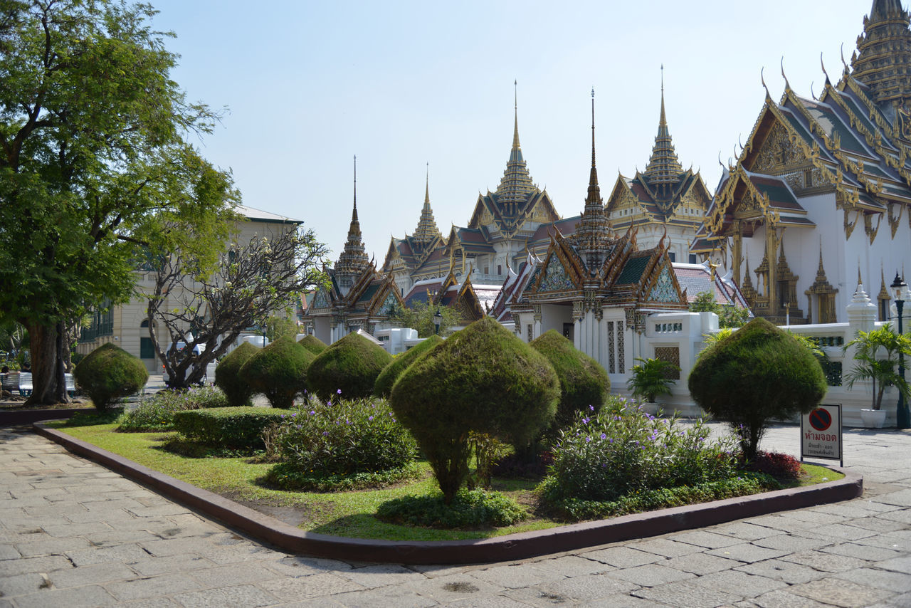 PANORAMIC VIEW OF TREES AND BUILDINGS