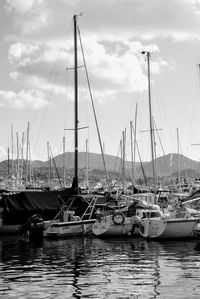 Sailboats in marina