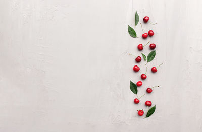 Directly above shot of multi colored berries on table against wall