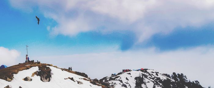 Low angle view of birds flying against sky in snow clad mountains