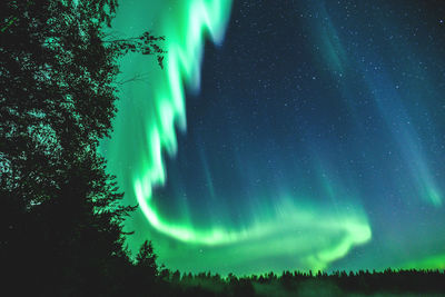 Low angle view of aurora borealis at night