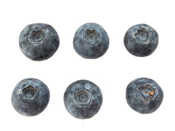 Directly above shot of various eggs against white background