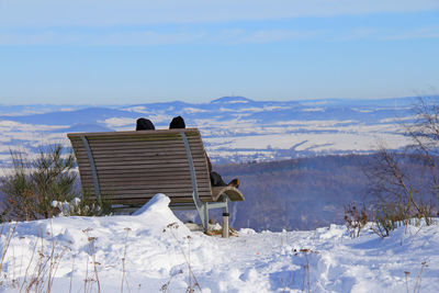 View of horse on snowcapped mountain against sky