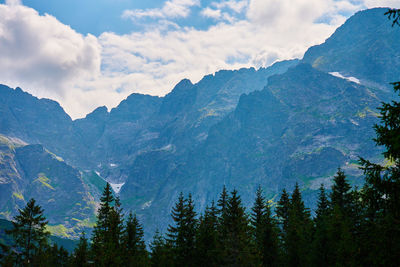 Amazing view on mountains range near forest trees at summer day. tatra national park in poland