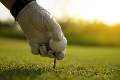 Cropped hand of man holding golf ball on tee