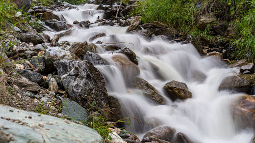 Scenic view of waterfall in forest