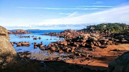 Scenic view of sea against sky