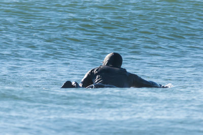 Man swimming in sea