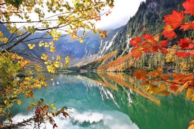 Reflection of trees in lake