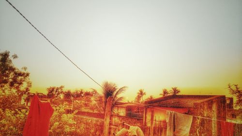 Panoramic shot of trees and plants against clear sky