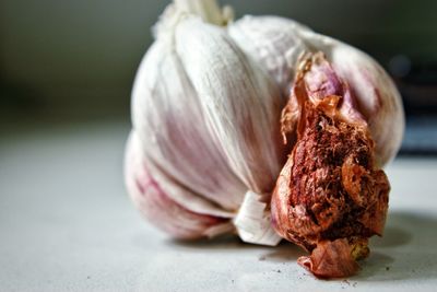 Close-up of rotten onion on table