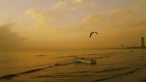 Birds flying over beach against sky during sunset