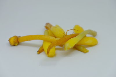 High angle view of lemon slice over white background